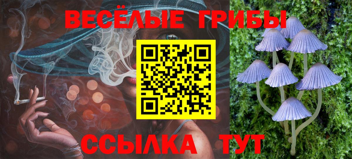 Псилоцибиновые грибы Psilocybe  Вход с VPN  Рязань  Галлюциногенные грибы GOLDEN TEACHER 